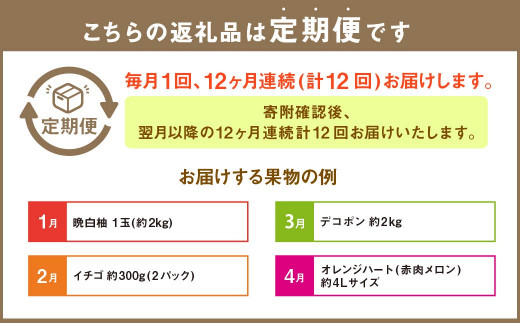 【12か月連続定期便】熊本の旬のフルーツお届け便 (Bコース)