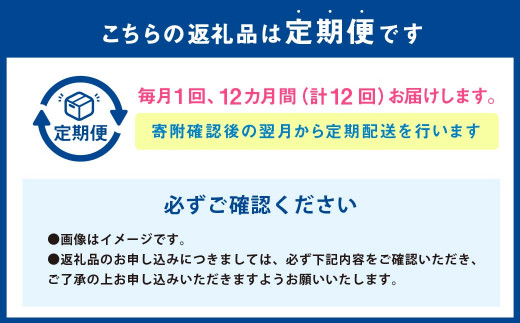 【12か月連続定期便】季節の果物と野菜セット 16品目