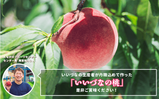 いいづなの生産者が丹精込めて作った「いいづなの桃」是非ご賞味ください！