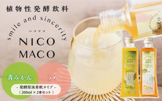 植物性発酵飲料「NICOMACO」2本セット（青みかん、うめ） 発酵飲料 発酵 希釈 原液 滋賀県 甲賀市 発酵飲料水 青みかん 梅 うめ 果物 くだもの てんさい糖 てんさい 1199146 - 滋賀県甲賀市