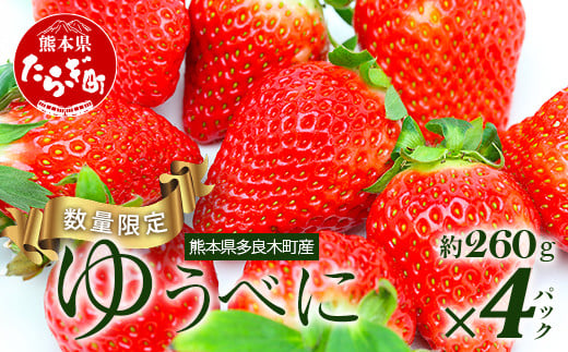 【先行予約】熊本県産 いちご【ゆうべに】約260g×4パック  2025年1月～発送 ≪ 苺 イチゴ 数量限定 坂下農園 イチゴ 1040g 苺 フルーツ 果物 春 名産 熊本 多良木町 ビタミン 旬 先行予約 ≫103-0002 1198605 - 熊本県多良木町