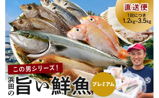 浜田のプレミアム鮮魚～この男シリーズ～ 海鮮 鮮魚 詰め合わせ セット おまかせ 人気 お取り寄せ 【855】