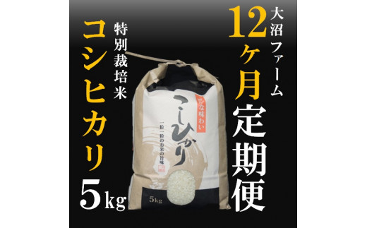 令和5年産【定期便12回】大沼ファームの特別栽培米コシヒカリ5kg×12回