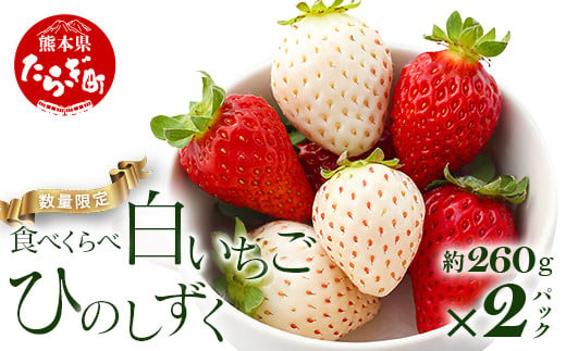 【先行予約】熊本県産 いちご【ひのしずく・白いちご】食べ比べセット 約260g×2パック   ≪ 苺 イチゴ 数量限定 坂下農園 イチゴ 2パック 苺 フルーツ 果物 春 名産 熊本 多良木町 ビタミン 旬 先行予約 ≫103-0007 1198608 - 熊本県多良木町