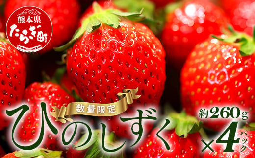 【先行予約】希少！ 熊本県産 いちご【ひのしずく】約260g×4パック   2025年1月～発送 ≪ 苺 イチゴ 数量限定 坂下農園 イチゴ 1040g 苺 フルーツ 果物 春 名産 熊本 多良木町 ビタミン 旬 先行予約 ≫103-0006 1198607 - 熊本県多良木町