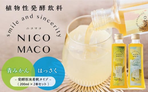 植物性発酵飲料「NICOMACO」2本セット（青みかん、はっさく） 発酵飲料 発酵 希釈 原液 滋賀県 甲賀市 発酵飲料水 青みかん はっさく 果物 くだもの てんさい糖 てんさい 1199144 - 滋賀県甲賀市