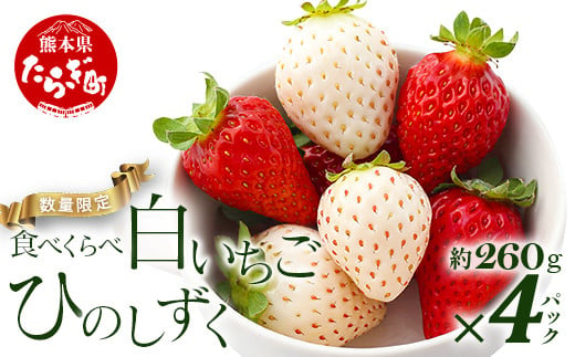 【先行予約】熊本県産 いちご【ひのしずく・白いちご】食べ比べセット 約260g×各2パック (合計4パック )  ≪ 苺 イチゴ 数量限定 坂下農園 イチゴ 1040g 苺 フルーツ 果物 春 名産 熊本 多良木町 ビタミン 旬 先行予約 ≫103-0008 1198609 - 熊本県多良木町