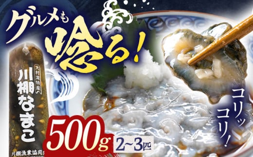 【先行予約】【数量限定】川棚 なまこ 約500g ※2024年12月中旬以降発送【森水産】[OAI002] / 大村湾なまこ 高級なまこ 新鮮なまこ ナマコ おつまみ 海鮮 魚介 新鮮魚介類 正月 産地直送海鮮 海鼠  1044132 - 長崎県川棚町