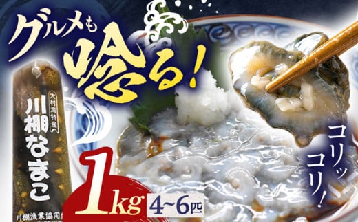 【先行受付】【数量限定】川棚 生 なまこ 約1kg ※2024年12月中旬以降発送【森水産】[OAI001] / 大村湾なまこ 高級なまこ 新鮮なまこ ナマコ おつまみ 海鮮 魚介 新鮮魚介類 正月 産地直送海鮮 海鼠  798787 - 長崎県川棚町