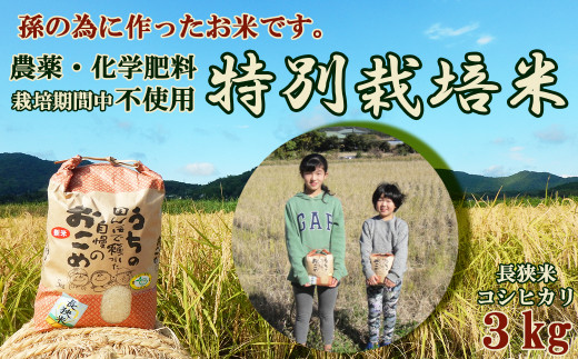 写真：孫のために作りました！田代農園の『特別栽培米』選べる《玄米》《精米》 ３kg　[0010-0159]
