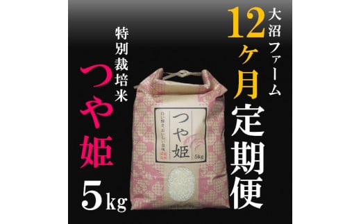 10月スタート【定期便12回】大沼ファームの特別栽培米つや姫5kg