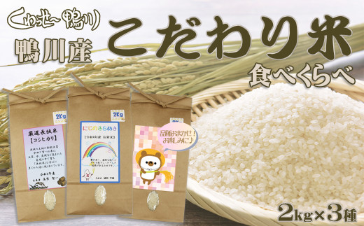 米どころ鴨川の美味しいお米を食べくらべ！産地・品種共に異なる３種をご賞味下さい！