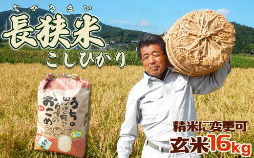 鴨川市自慢のブランド米『長狭米こしひかり』生産農家直送でお届けします！