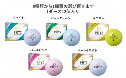 PHYZ 1ダースセット【PP（ﾊﾟｰﾙﾋﾟﾝｸ）】[№5689-7040]