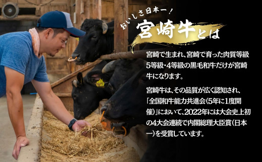 宮崎県産黒毛和牛赤身・霜降り焼きしゃぶ計1.0kg　A210