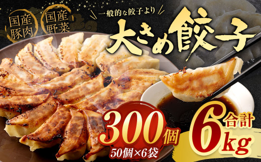 【2024年4月発送】【国産冷凍生餃子】大きめ餃子 300個 計6kg ラー麦 餃子 ギョーザ
