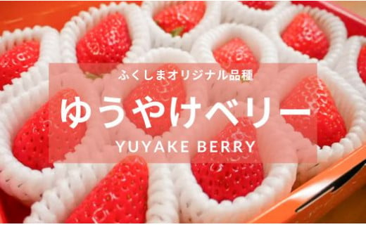 No.2850福島市産 いちご　ゆうやけベリー1箱12粒（400g）×2箱【2025年１月より発送】 1199530 - 福島県福島市