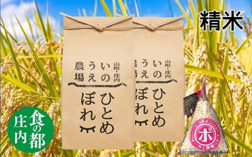食の都庄内 [令和5年産・精米]特別栽培米ひとめぼれ5kg×2袋+つやポン[井上農場]