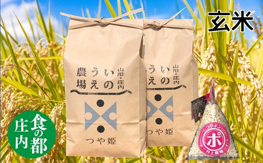 食の都庄内 [令和5年産・玄米]特別栽培米つや姫5kg×2袋+つやポン[井上農場]