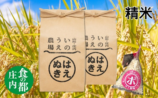 食の都庄内 [令和5年産・精米]井上農場の特別栽培米はえぬき5kg×2袋+つやポン[井上農場]
