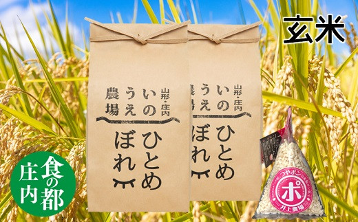 食の都庄内 [令和5年産・玄米]特別栽培米ひとめぼれ5kg×2袋+つやポン[井上農場]