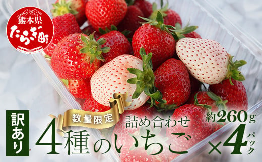 【先行予約】【訳あり】熊本県産 いちご 詰め合わせ 約260g×4パック ≪ 4種のうち2～4種お届け 苺 イチゴ 数量限定 坂下農園 イチゴ 2パック 苺 フルーツ 果物 春 名産 熊本 多良木町 ビタミン 旬 先行予約 ≫103-0010 1200029 - 熊本県多良木町