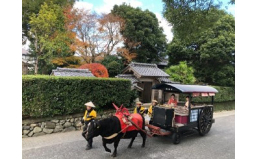 【5-３　特定非営利活動法人　いずみ観光牛車会】
日本で唯一の観光牛車，鶴と歴史の街出水をご案内