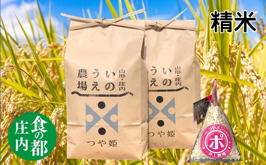 食の都庄内 [令和5年産・精米]特別栽培米つや姫5kg×2袋+つやポン[井上農場]