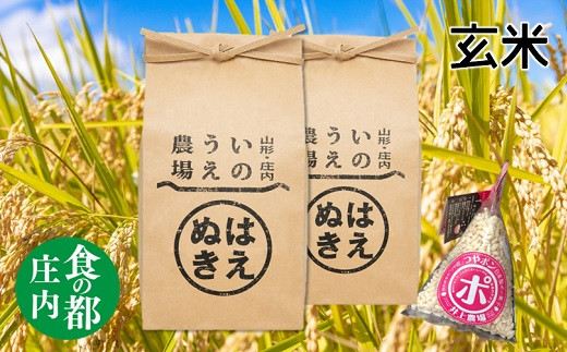 食の都庄内 [令和5年産・玄米]井上農場の特別栽培米はえぬき5kg×2袋+つやポン[井上農場]