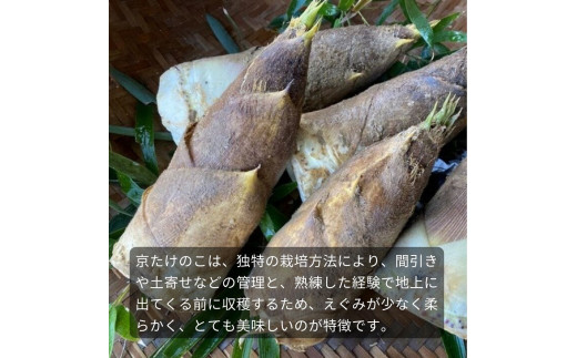 京たけのこ2kgと旬の京野菜