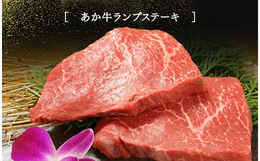 【12ヶ月定期便】あか牛ステーキ12種 極上食べ比べ