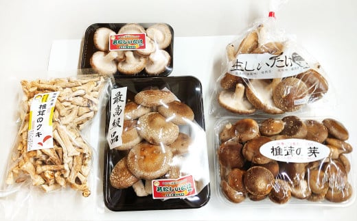 北九州市産 生椎茸・乾燥クキのセット