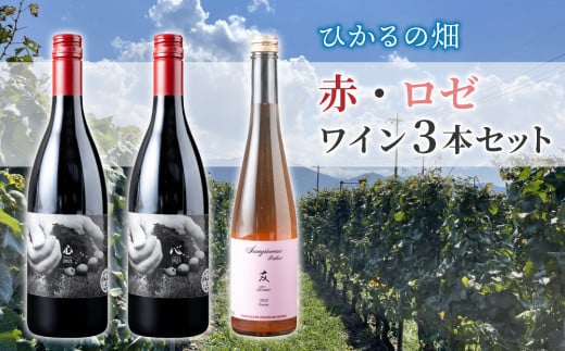 【ひかるの畑】赤ワイン・ロゼワイン　３本セット 928353 - 長野県東御市