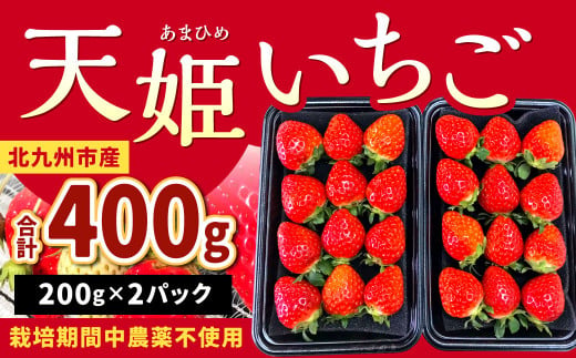 【栽培期間中農薬不使用】天姫（あまひめ）イチゴ 200g×2パック 合計400g 【2025年2月上旬～3月下旬発送予定】いちご 苺 フルーツ 果物 くだもの 福岡県 北九州市 1532493 - 福岡県北九州市