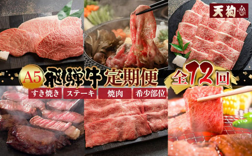 【定期便 12回】 A5 飛騨牛 天狗 牛肉 (ステーキ / 焼き肉 / すき焼き /希少部位 赤身 / 霜降り) 1年間 お楽しみ サーロイン カルビ イチボ ランプ もも 肩ロース肉 希少部位 12カ月 肉ギフト 国産 焼肉 すきやき しゃぶしゃぶ 300000円 30万円 1200792 - 岐阜県下呂市