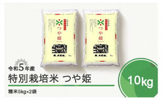 ふるさと納税 山形県 大石田町 令和6年6月下旬発送 はえぬき60kg 玄米