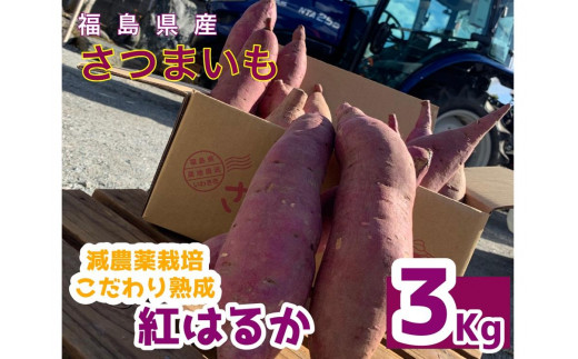 サツマイモ　紅はるか　3Kg　サイズおまかせセット 1201877 - 福島県いわき市