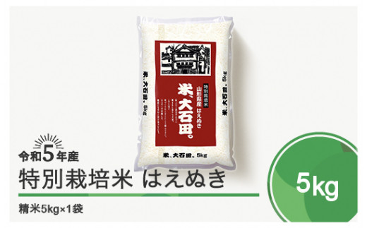 令和6年6月上旬発送 はえぬき5㎏ 精米  令和5年産 1190736 - 山形県大石田町