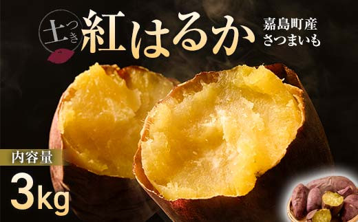 FKK19-631 【先行予約】嘉島町産さつまいも「紅はるか」3kg 土付き ＜2024年11月下旬から順次発送＞ サツマイモ イモ 焼き芋 野菜 1039846 - 熊本県嘉島町