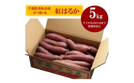 千葉県香取市産さつまいも 無選別紅はるか 5キロ(2S～M)【1450960