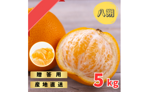 【先行予約】完熟木なりハッサクみかん　贈答用　秀品　5kg（M~3Lサイズ）【2026年3上旬から3月下旬までに順次発送】/ みかん ハッサク 八朔 柑橘 果物 フルーツ 贈答【tmf001】