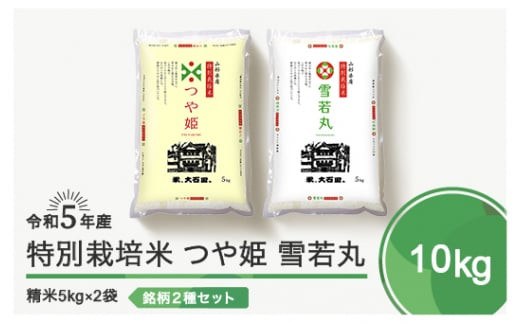 令和6年6月下旬発送 つや姫 雪若丸 各5kg 計10kg 精米  令和5年産 1190753 - 山形県大石田町