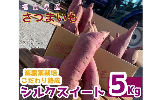 サツマイモ　シルクスイート　5Kg　サイズおまかせセット 1201880 - 福島県いわき市