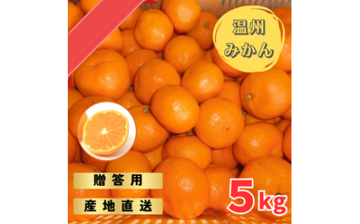 【先行予約】宮川早生みかん 贈答用 秀品 5kg（2S~2L）【2025年11月下旬から12月中旬までに順次発送】 / みかん 蜜柑 柑橘 果物 フルーツ 早生 秀品 贈答【tmf006】