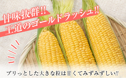 数量限定 スイートコーン ゴールドラッシュ 計4.5kg 野菜 とうもろこし トウモロコシ 国産 宮崎県産 日南市産 食品 デザート  送料無料_BB127-23