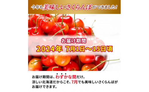 先行予約 大塚農園 さくらんぼ【 佐藤錦 】800g（200g×4）サクランボ フルーツ