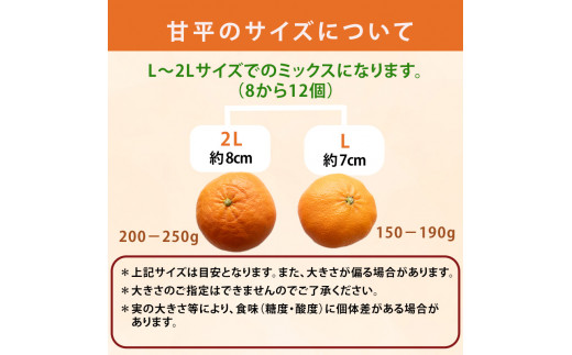 2024年1月下旬から発送】 甘平 かんぺい ◯等級から優級 約2kg L-2L 8