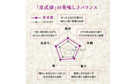 丹後産の京都ブランド米 京式部 5kg 白米 精米 米 お米 おこめ ごはん