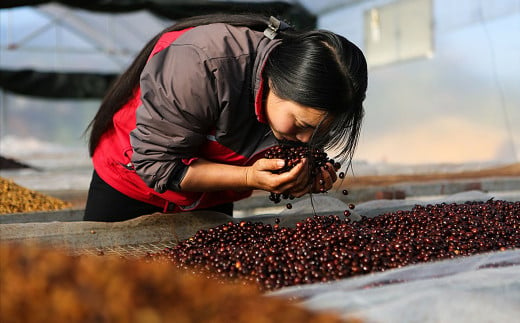 有能な現地の女性たちが生産を一挙に担い、スペシャルティコーヒーの地位を確立。