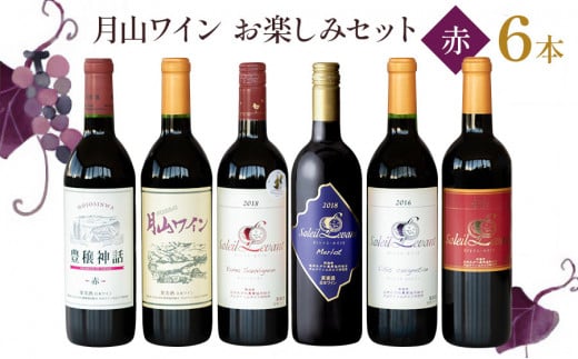 月山ワイン　赤ワイン６本　お楽しみセット　E16-201 1201974 - 山形県鶴岡市